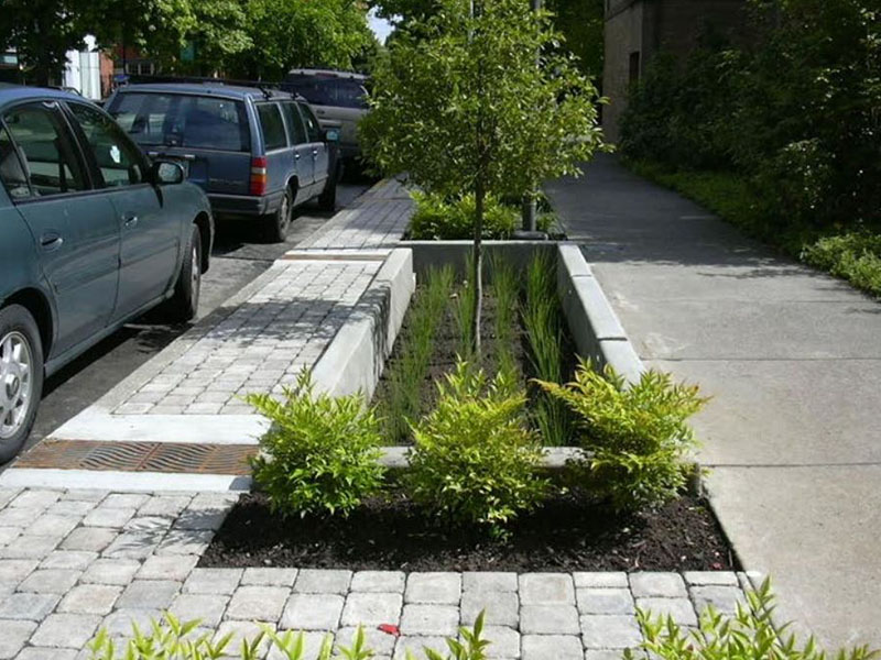 Landscaped stormwater planters featured in Mori Haynes project from Richard Dagenhart's Spring 2019 course