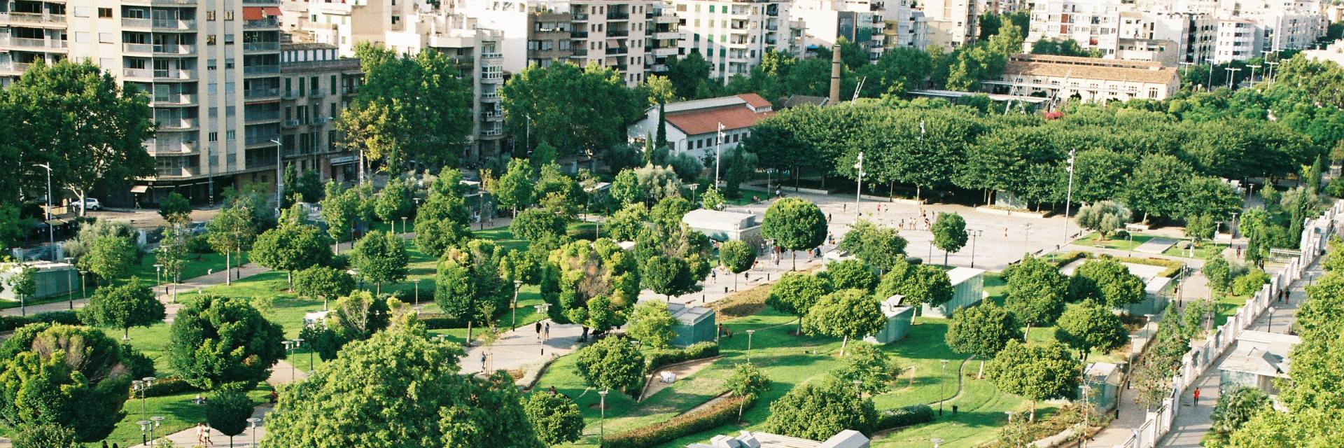 photo of a city with wide expanses of trees.